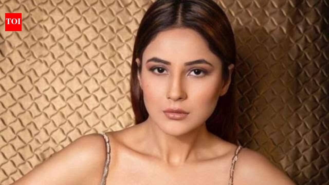 Shehnaaz Gill Dating Rumors: Amid dating rumors with Raghav Juyal, Shehnaaz Gill says love doesn't need a perfect ending; urges everyone to live in the present | Hindi Movie News