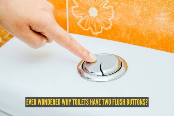Toilet Flush Buttons: Ever wondered why toilets have two flush buttons? Here's what each one actually does