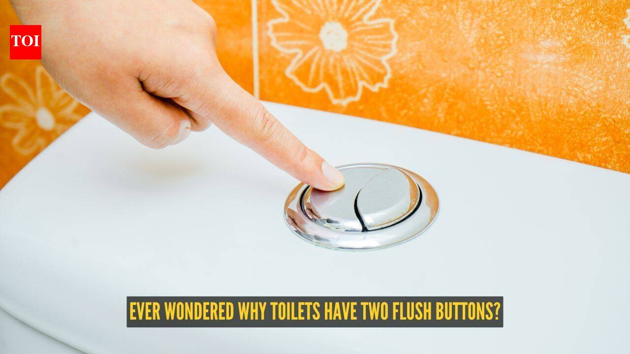 Toilet Flush Buttons: Ever wondered why toilets have two flush buttons? Here's what each one actually does