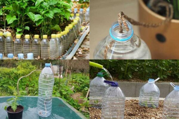 DIY water drip system for your mini garden: Turn plastic bottles and thread into a simple self-watering setup