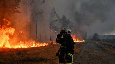 Canada’s 2023 wildfires burned 15.1 million hectares and released 554 million tonnes of carbon; scientists found most came from soil and peat beneath the trees