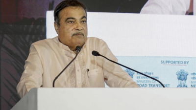 E20 Petrol Impact On Vehicles: E20 petrol may harm BS-III vehicle rubber parts, says Nitin Gadkari