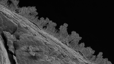 Scientists drilled 1,640 feet beneath Michigan and found 689 kinds of fungi living in water that last touched the surface 11,000 years ago