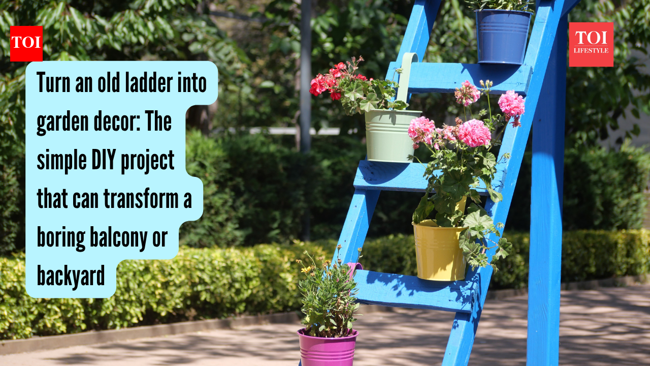 Turn an old ladder into garden decor: The simple DIY project that can transform a boring balcony or backyard |