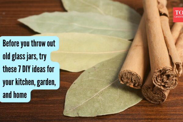 Bay leaves, cinnamon, and cloves: DIY organic room freshener you can make with 3 ingredients found in every Indian kitchen |
