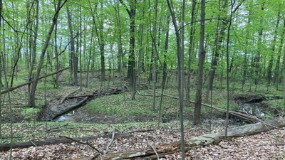 A Michigan woman owns 19 acres between two planned Toll Brothers communities; she is suing over her only access route and a proposed wastewater discharge