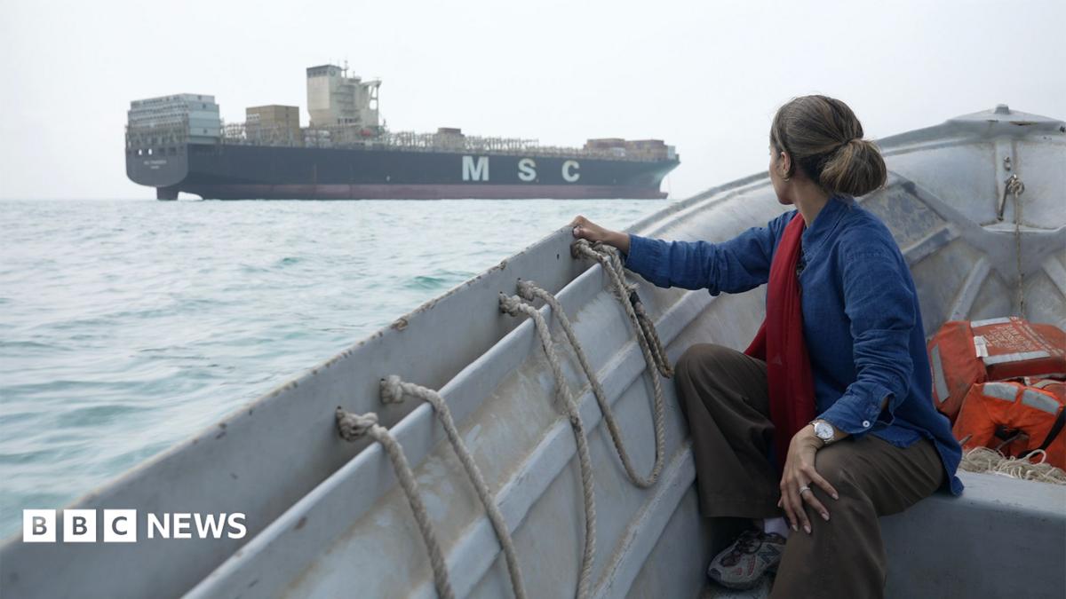 Strait of Hormuz: BBC sees seized ships and stranded tankers on visit to Iran
