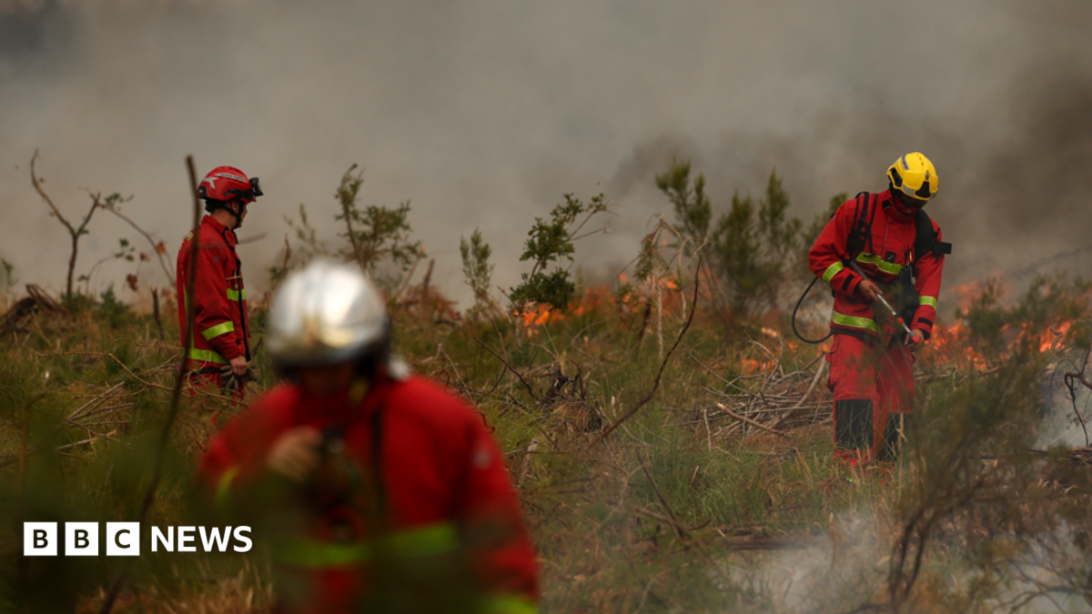 Firefighters battle France wildfire as tens of thousands evacuated near Bordeaux