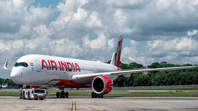 Air India Transformation: 'Transformation of Air India may take up to a decade'