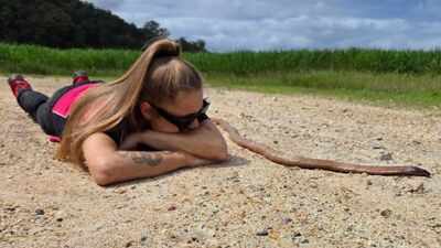 An Australian cyclist accidentally trapped a 2-metre venomous eastern brown snake in her bike chain, then it bit her | World News