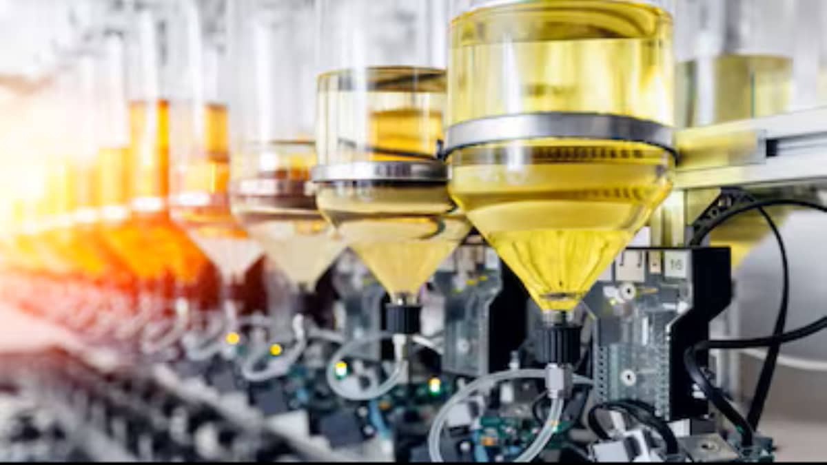 AWL Agri Business to expand regenerative mustard farming after yields jump 30%