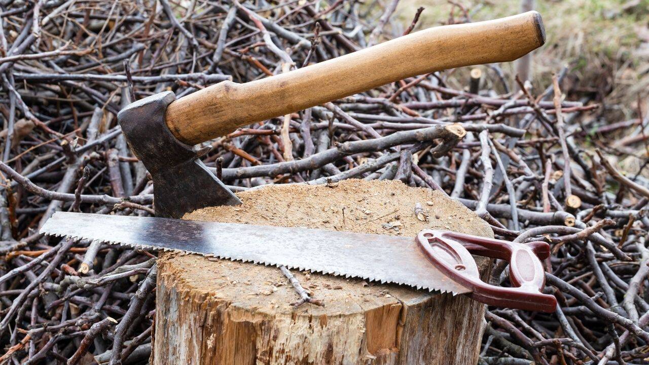 Before modern conveniences: The household items every frontier family relied on