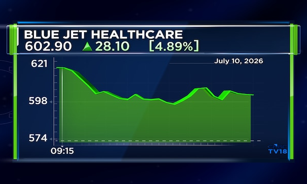 Blue Jet Healthcare raises ₹800 crore via QIP, two institutions get nearly 67% of shares