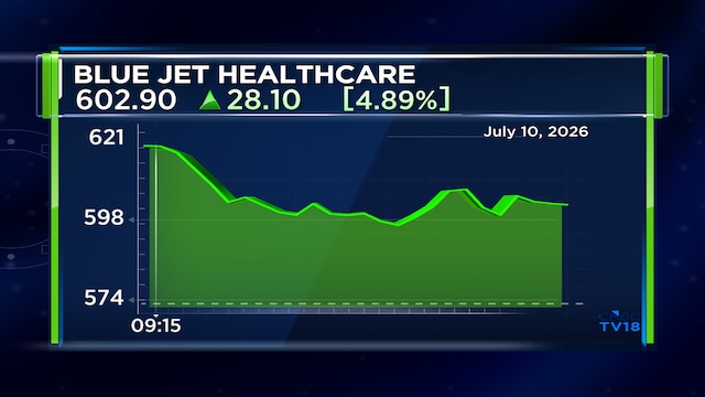 Blue Jet Healthcare raises ₹800 crore via QIP, two institutions get nearly 67% of shares