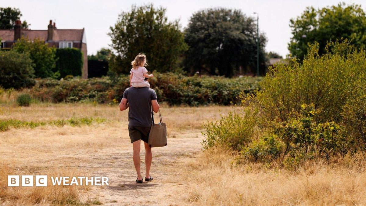 UK weather: Heat health alerts issued as rain returns this weekend