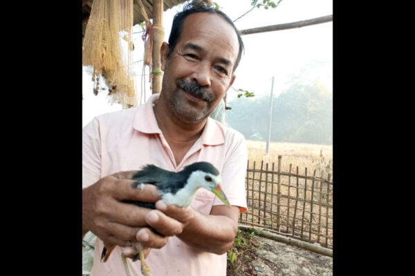 Bharat Borah: Meet Bharat Borah, from Assam's 'Hornbill Village' who has been saving injured birds and animals by building artificial legs for them for 30 years; his house is now an unofficial rescue centre