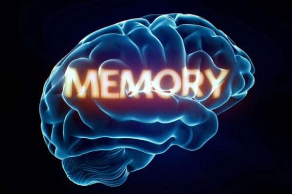 At what age do children start forming lifelong memories? Here's what science says