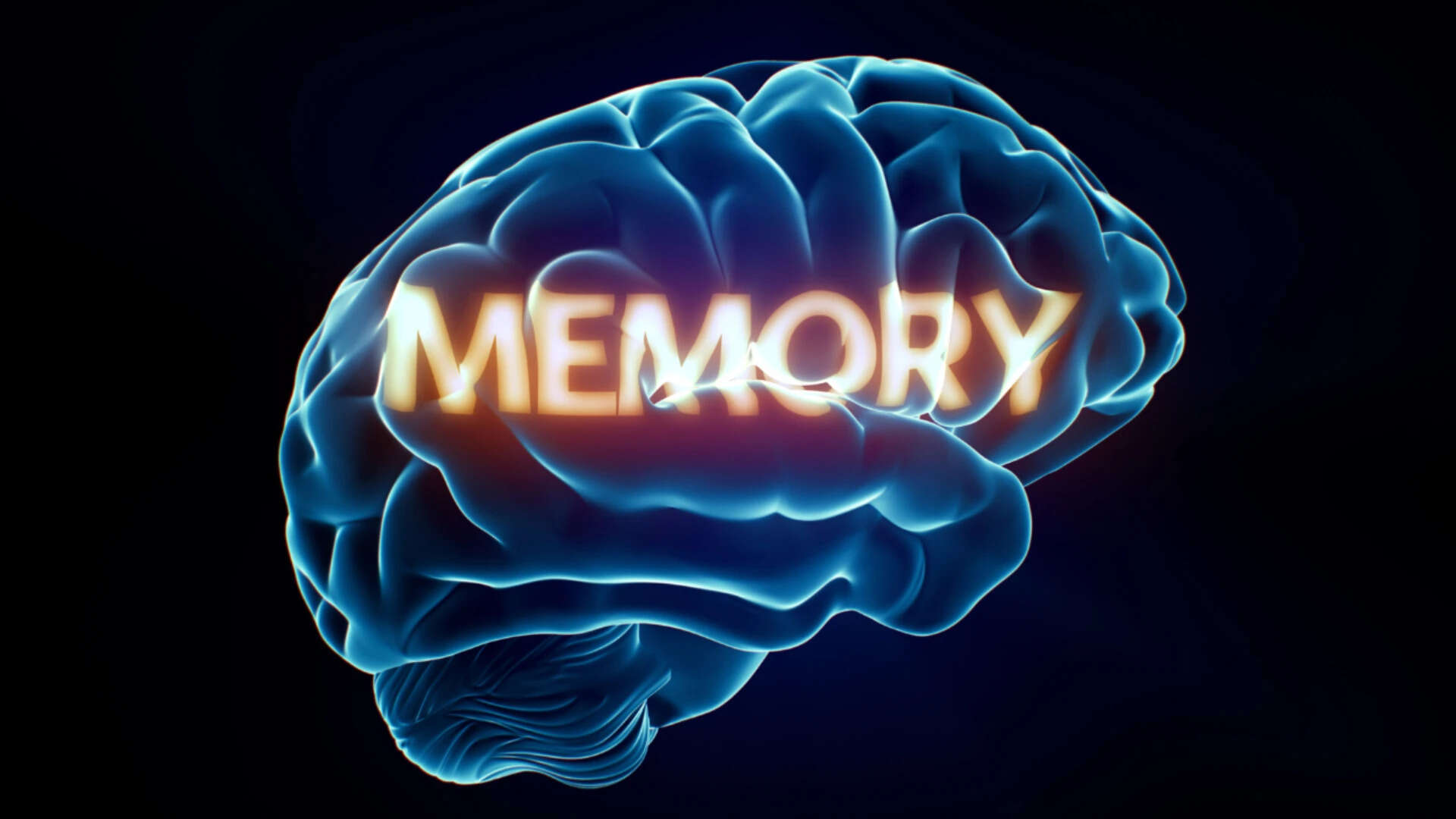 At what age do children start forming lifelong memories? Here's what science says