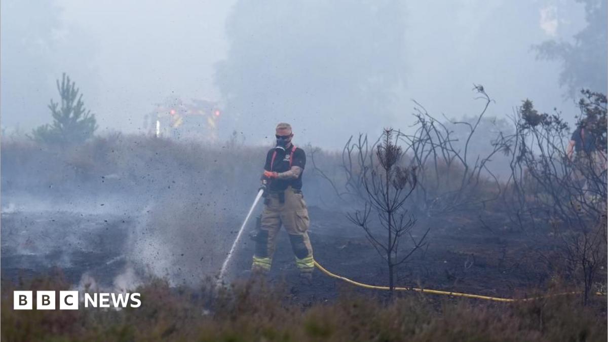Dunwich Heath wildfire 'stabilising', says county fire service