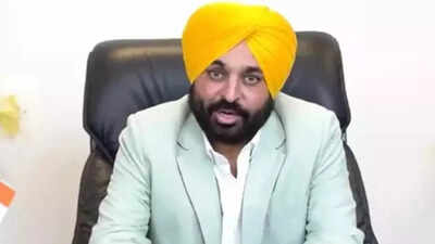 'Everyone does naarebaazi in democracy but ... ': Why Supreme Court told Chandigarh admin to 'argue on merits' in Bhagwant Mann case | India News
