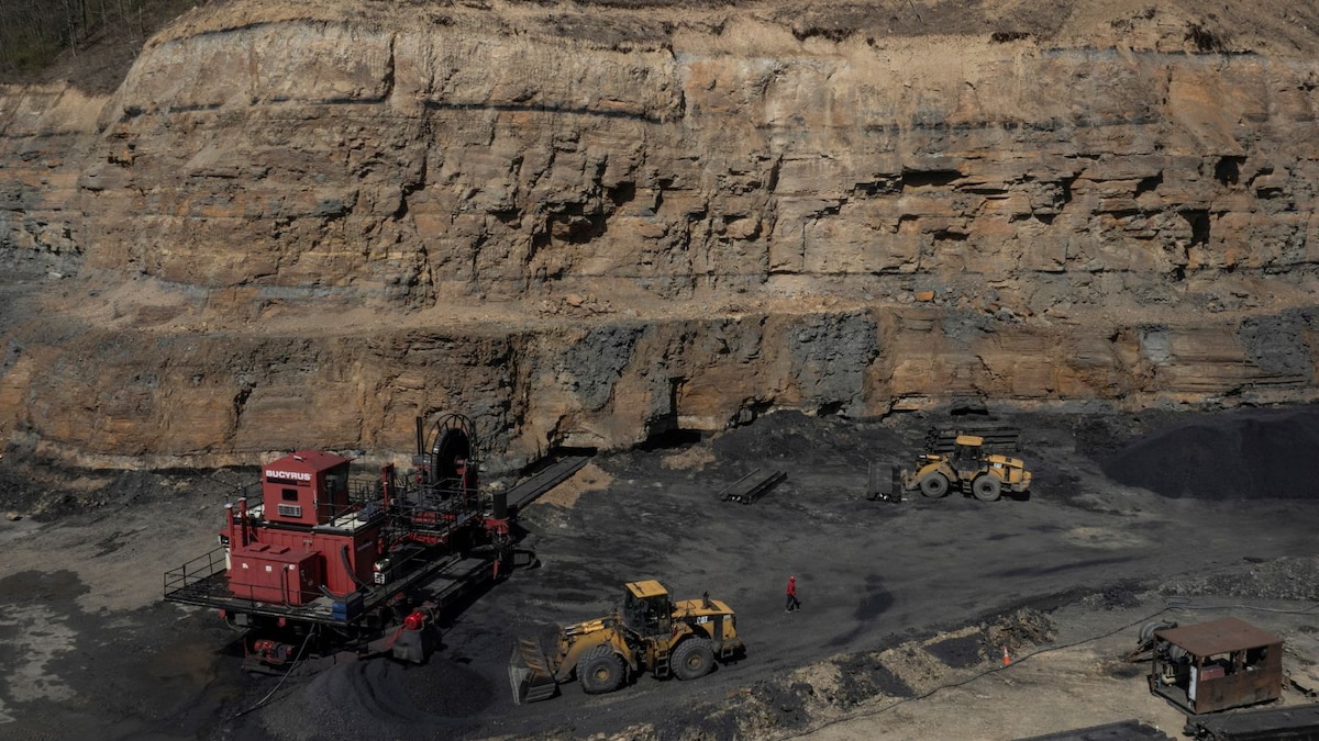 Maharatna firm Coal India Q1 profit stays flat at ₹8,852 crore despite higher revenue