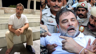 'Government had no interest in debate': Rahul Gandhi on why Congress protested outside PM's residence | India News