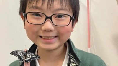 Did the butterflies remember him? Japanese student's discovery uncovers astonishing insect memory |