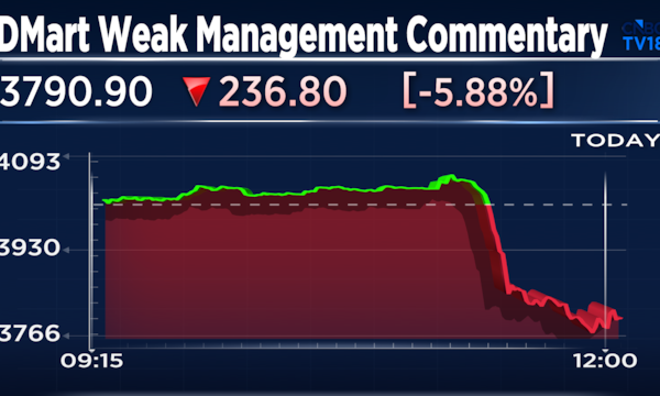 Explained - What Avenue Supermarts said on the analyst call that led to the stock tanking 6%