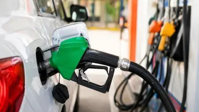 Can using E20 petrol lead to insurance claim rejection? What the government said