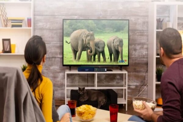 GTPL Hathway Q1 Results: Net profit slumps 78% despite 12% revenue growth
