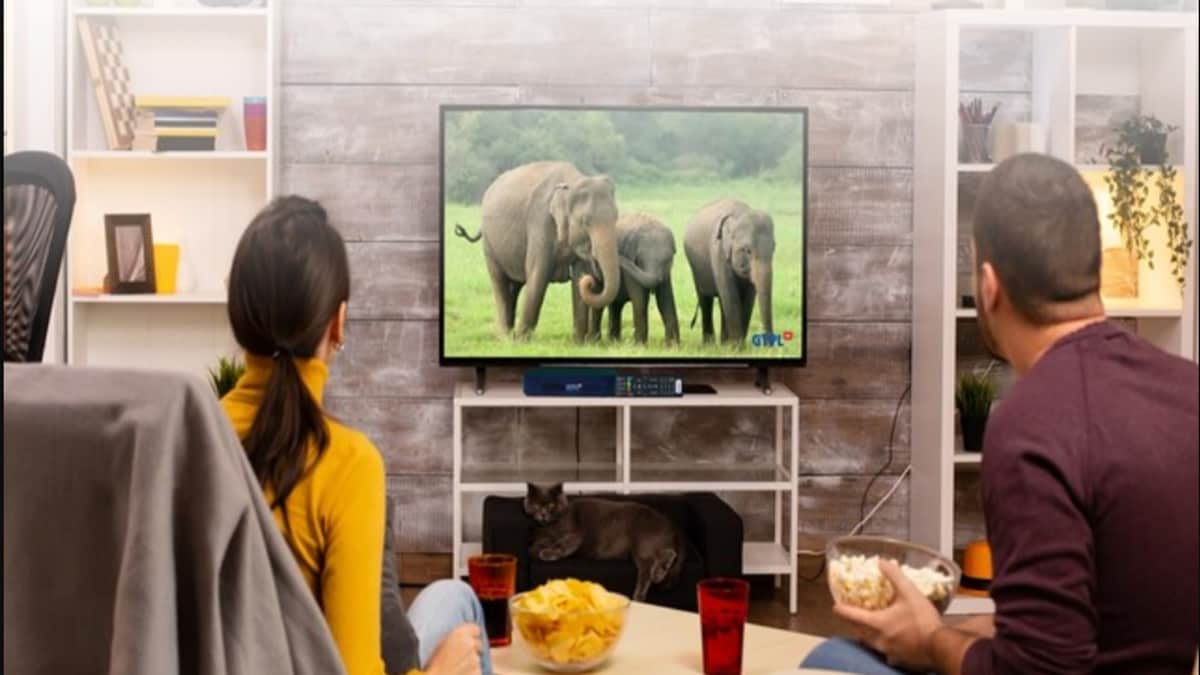 GTPL Hathway Q1 Results: Net profit slumps 78% despite 12% revenue growth