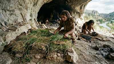 How ancient humans made their beds: 200,000-year-old grass reveals a prehistoric cleaning routine | World News