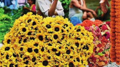 How seed sellers of flowers that bloom in the shape of birds, butterflies, teddy bear and cat heads are 'troubling' big online retailers like eBay and Etsy
