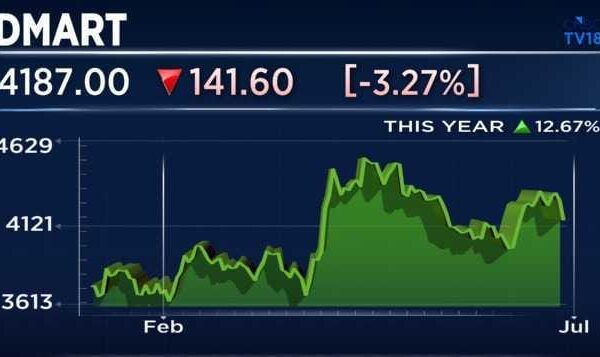 Avenue Supermarts shares will react to Q1 updates; Goldman highlights four risks to its 'sell' call
