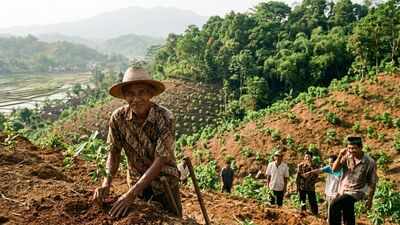 In 1996, Indonesia's 'crazy' tree planter who was mocked for his mission planted 11,000 trees and turned barren hills into a green paradise | World News