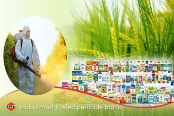 India Pesticides gets EU approval for fungicide product, eyes export market expansion