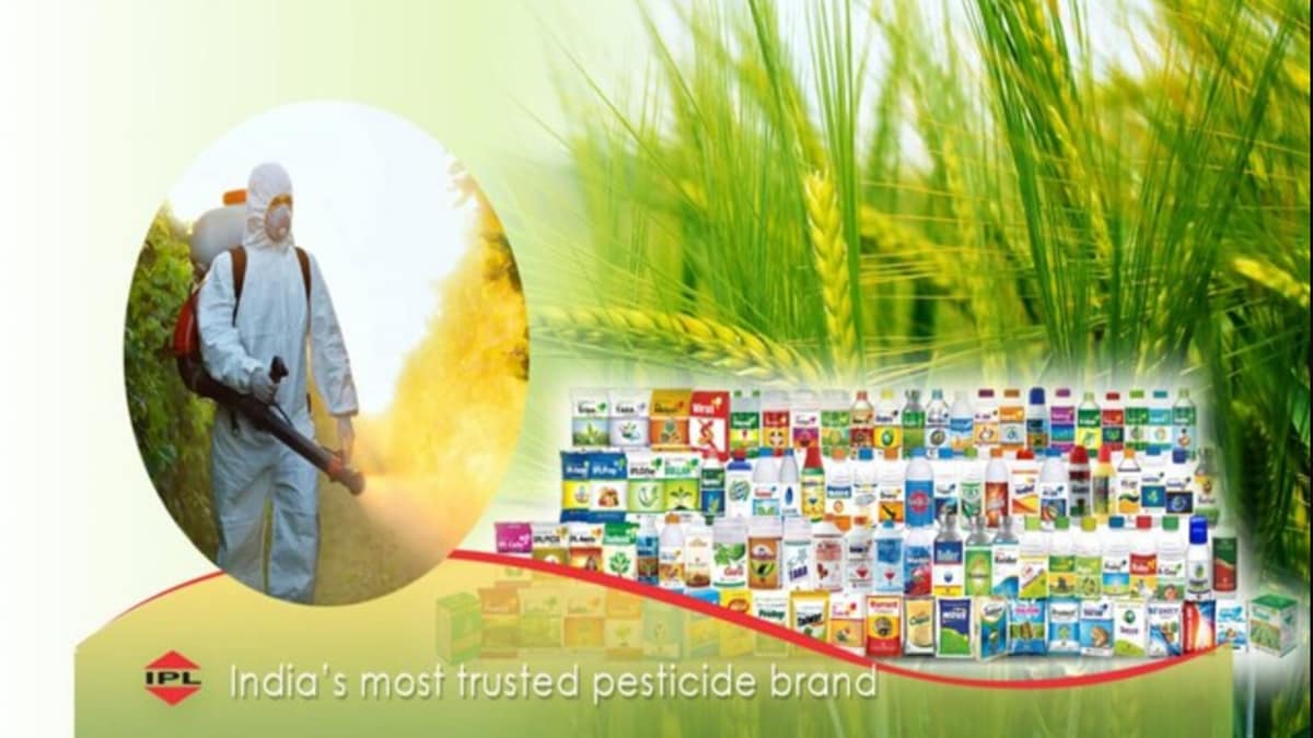 India Pesticides gets EU approval for fungicide product, eyes export market expansion