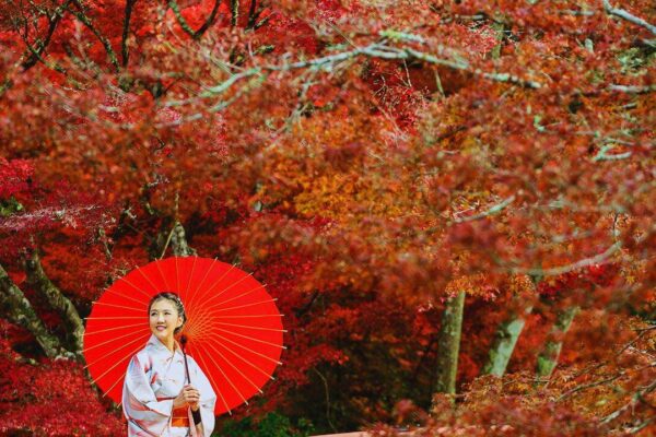 Japan confirms ₹500 visa fee for Indians even after massive global fee hike; here's how Indians can apply and who is eligible