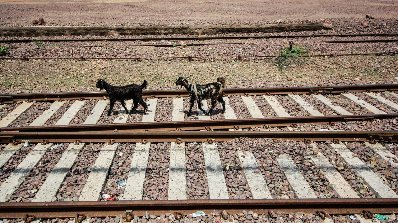 "Train aapki property hai kya?" Mother caught teaching toddler to throw garbage from moving local train; video sparks outrage |