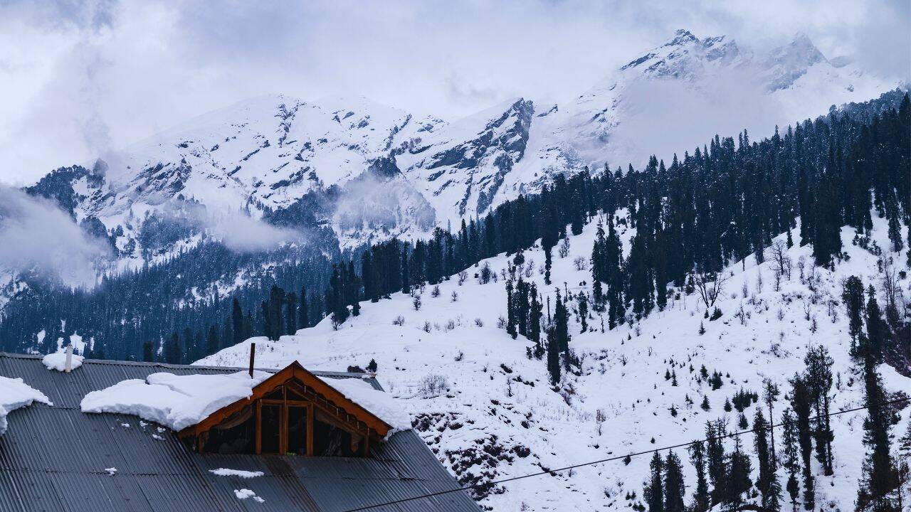 Manali resort refused a Gurgaon tourist stay despite confirmed booking. He won ₹31,000 in court; here's why every traveller should know this case |