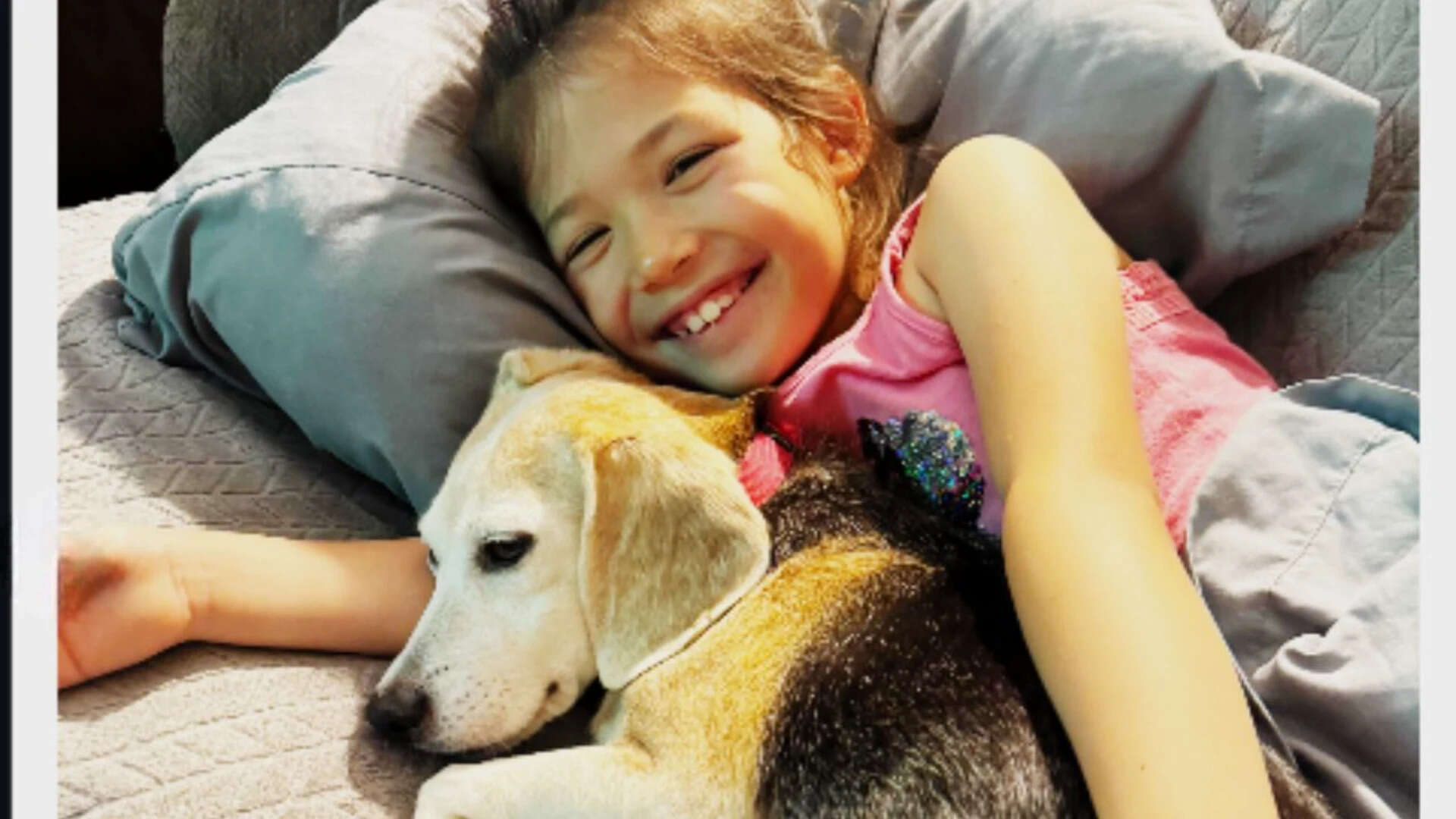 A Marshmallow love story: Wisconsin woman met a rescue beagle and could not stop thinking about her; so she went on a 'manhunt' to find the dog and finally adopt her |