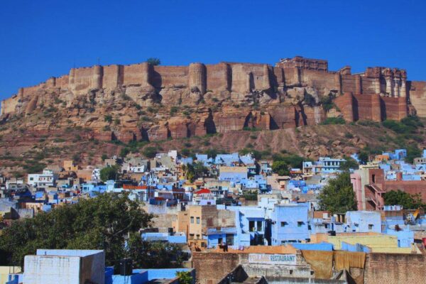 Anand Mahindra: Years ago, he came looking for his mother but ended up saving Jodhpur's forgotten stepwells: Meet the 80-year-old Irishman Anand Mahindra calls 'Pagal Saab'