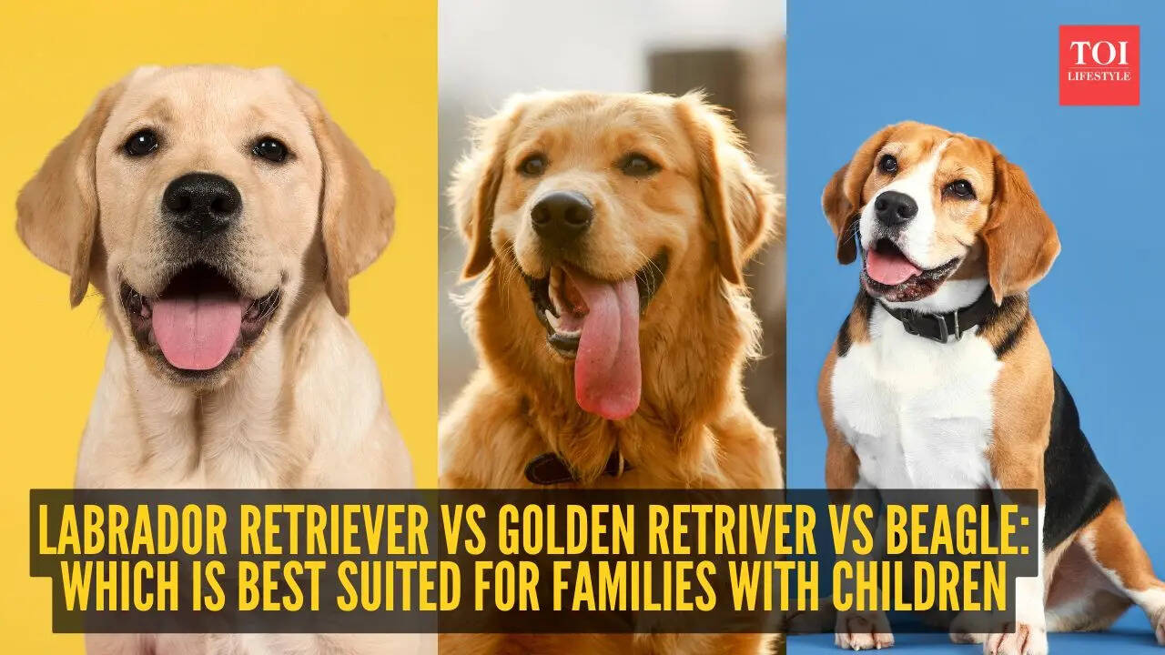 Which is best suited for families with children