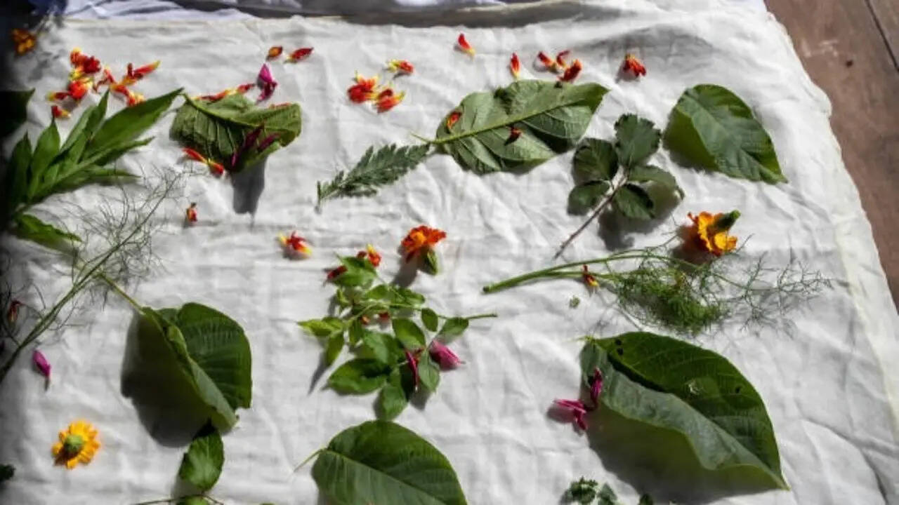 7 Plants with leaves and flowers that naturally stain and dye