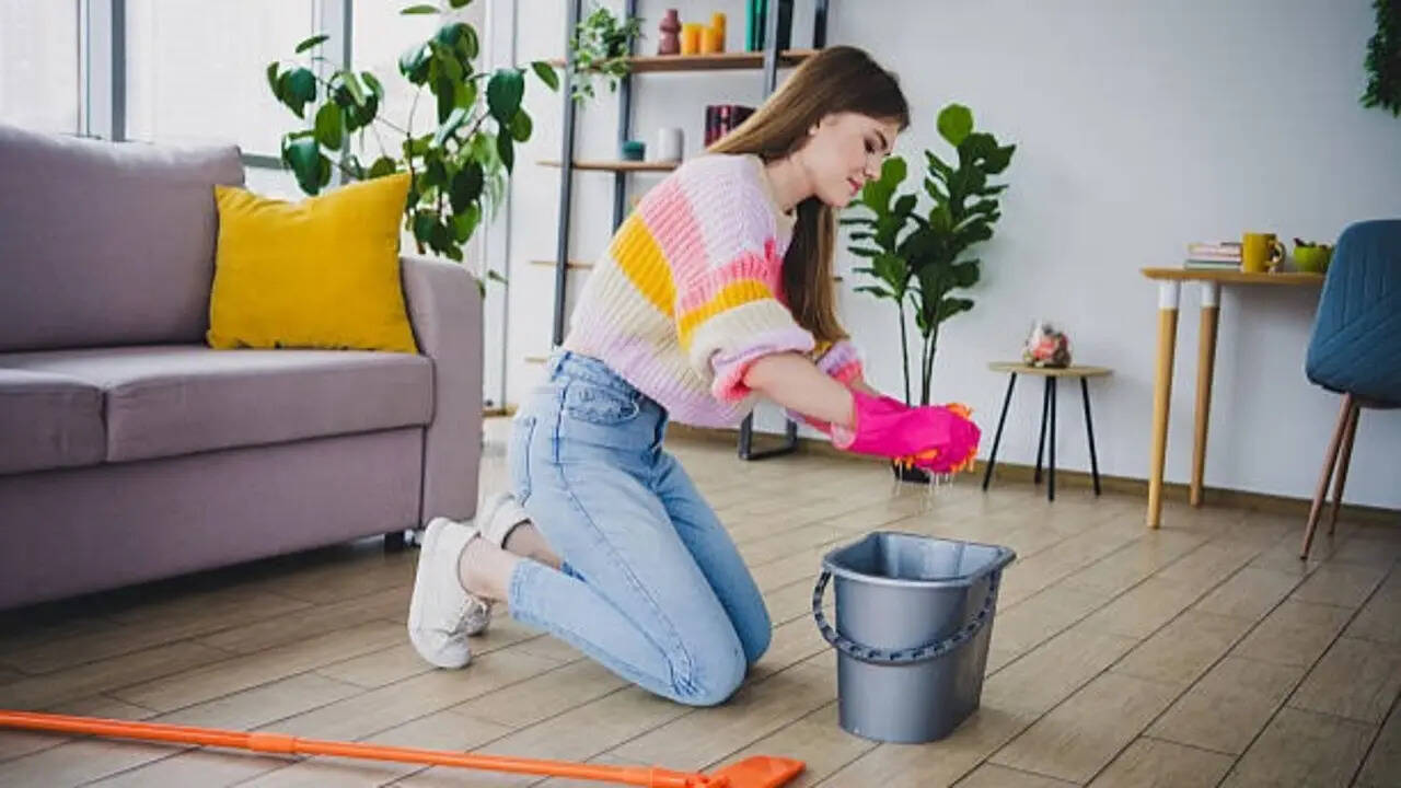 7 Natural floor cleaners that may help keep flies, ants and monsoon pests away