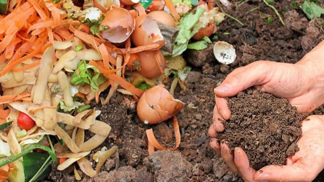 Stop throwing away vegetable peels! Here's how to turn kitchen scraps into natural fertiliser for your garden