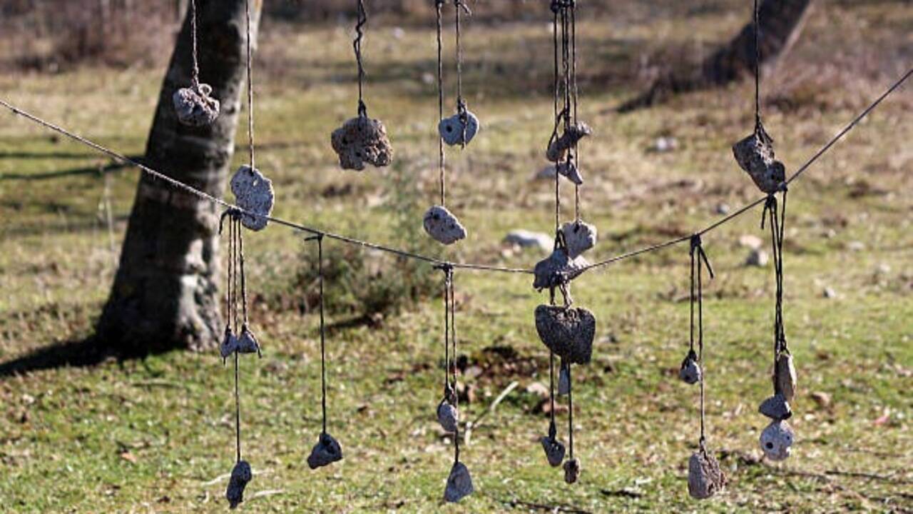 Transform your home with these 5 beautiful wind chime ideas that add charm and soothing sounds