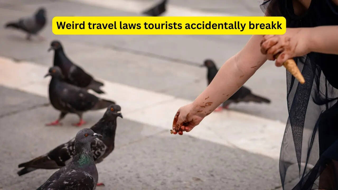 7 weird travel laws tourists accidentally break around the world (and the real incidents that prove why you should know them)