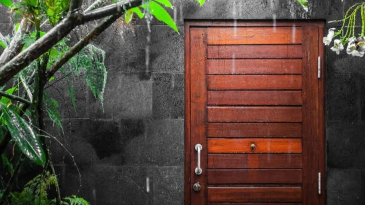 5 Must-try monsoon maintenance tips for a grand wooden entrance door