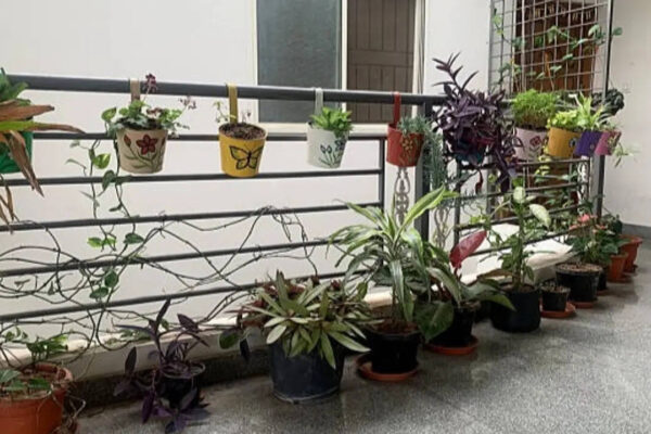 5 DIY ways to turn it into a vertical garden